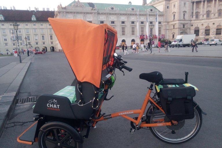 3 heures de visite de Vienne en RAXI (pousse-pousse électrique)
