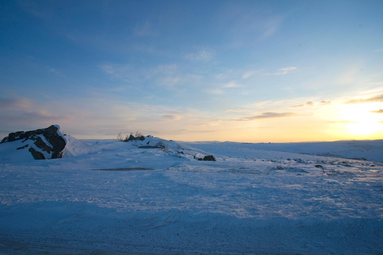 Excursión de un día completo al Círculo Polar Ártico