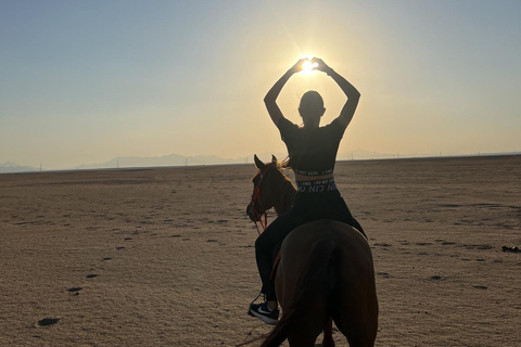 Hurghada: Horse Riding in the Desert & Beach Experience 1 HR Desert Horse Riding Experience without transfer