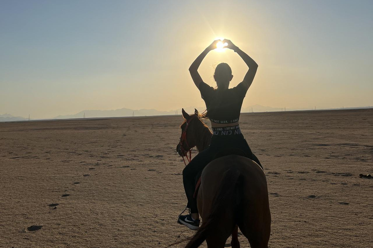 Hurghada: Horse Riding in the Desert & Beach Experience 1 HR Desert Horse Riding Experience without transfer