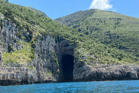 Vlorë: Sazan Island, Haxhi Ali Cave, and Karaburun Boat Tour Vlorë: Sazan, Haxhi Ali Cave Karaburun Boat Tour