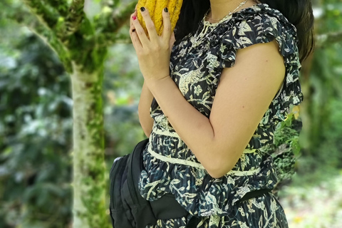 Medellin: Chocolate Farm Private Tour w/Workshop and Tasting