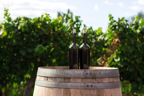From Cottonwood: 2-Hour Water to Wine Kayak Tour