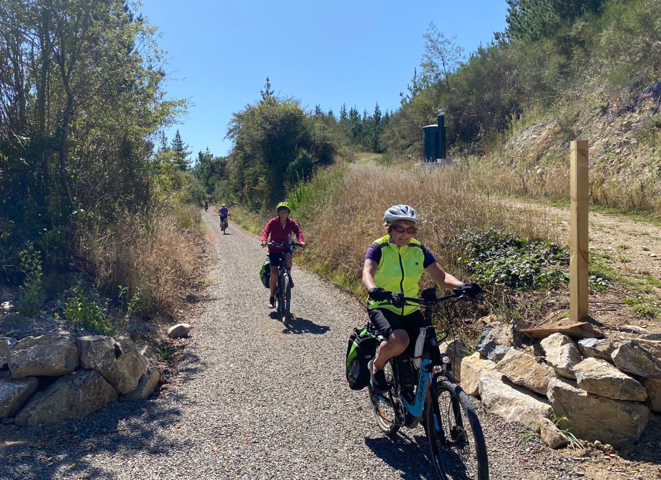 Nelson til Mapua: Heldags cykeleventyr med egen guide