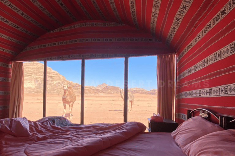 Wadi Rum Desert: Full Day Jeep Tour & Traditional Lunch Wadi Rum Desert: Full Day Jeep Tour & Overnight in Camp
