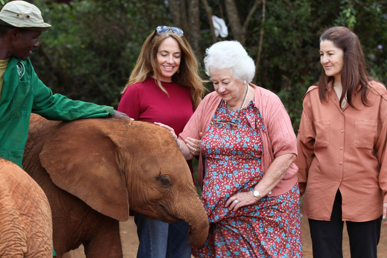 Nairobi-tour naar Nationaal Park, olifanten- en giraffencentrum.