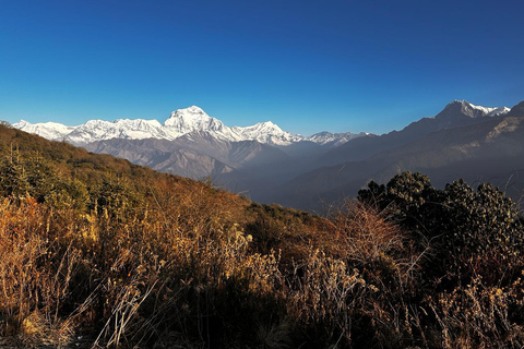 Trekking Ghorepani Poonhill