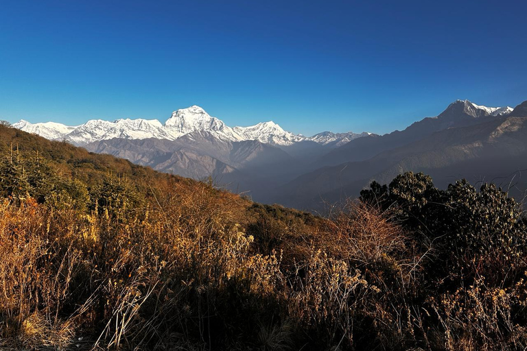 Trekking Ghorepani Poonhill