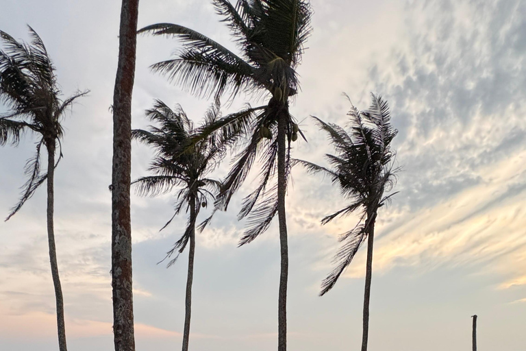 SriLanka: Galle Day Tour With Private Airport Transfers