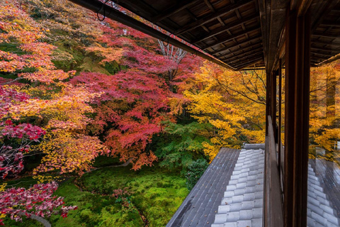 Osaka/Kyoto: Sanzenin, Arashiyama Train, Bamboo Forest Tour Kyoto Station Meeting Point 9:50 AM