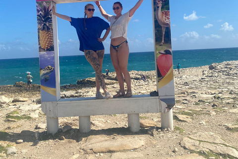 St.John's, Antigua: Stingray City & Long Bay Shore Excursion