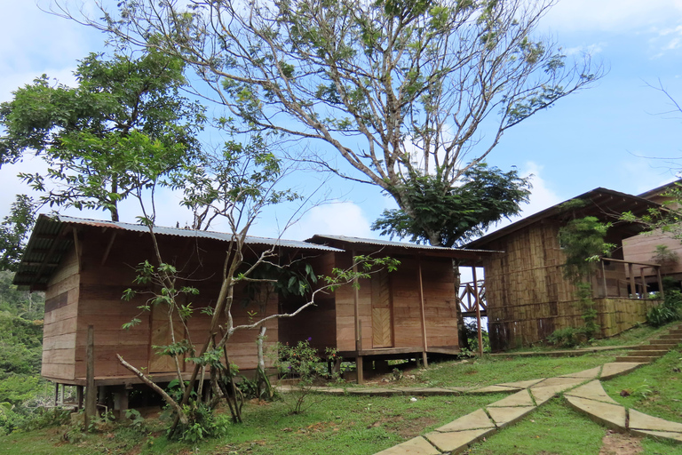 Panamá; San Blas Dos días en la selva todo incluido