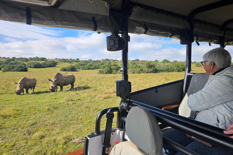 Half-Day Schotia Game Reserve (Open 4x4 Vehicle)