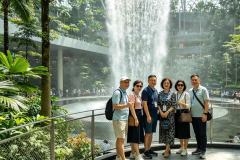 Changi Airport: Inside the World's Most Amazing Airport - Image 2