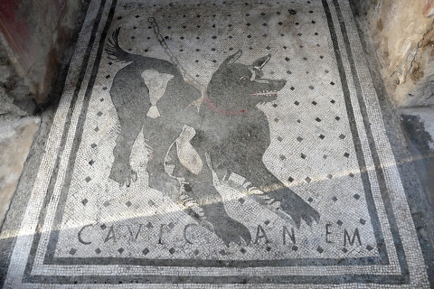 Pompeii: Voorrangstoegang & AudiogidsFranse rondleiding