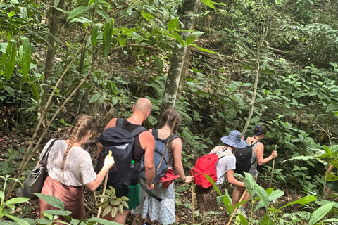 Chiang Mai: 2-Days Jungle Trek, Waterfalls and Karen Village