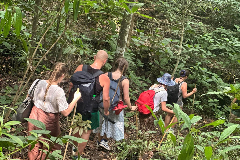 Chiang Mai: 2-Days Jungle Trek, Waterfalls and Karen Village