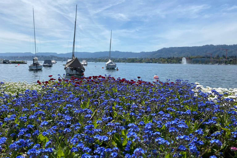 Zurich City Essential Walking Tour with Polybahn: 5 hours