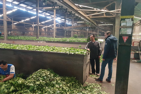 The Breathtaking Views Of The Countryside In Bandung