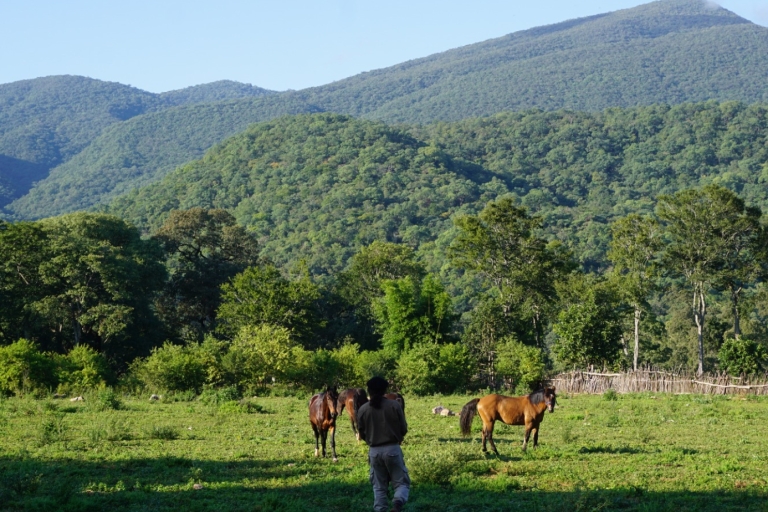 Yungas : full day with gauchos - transfer inc. from Salta