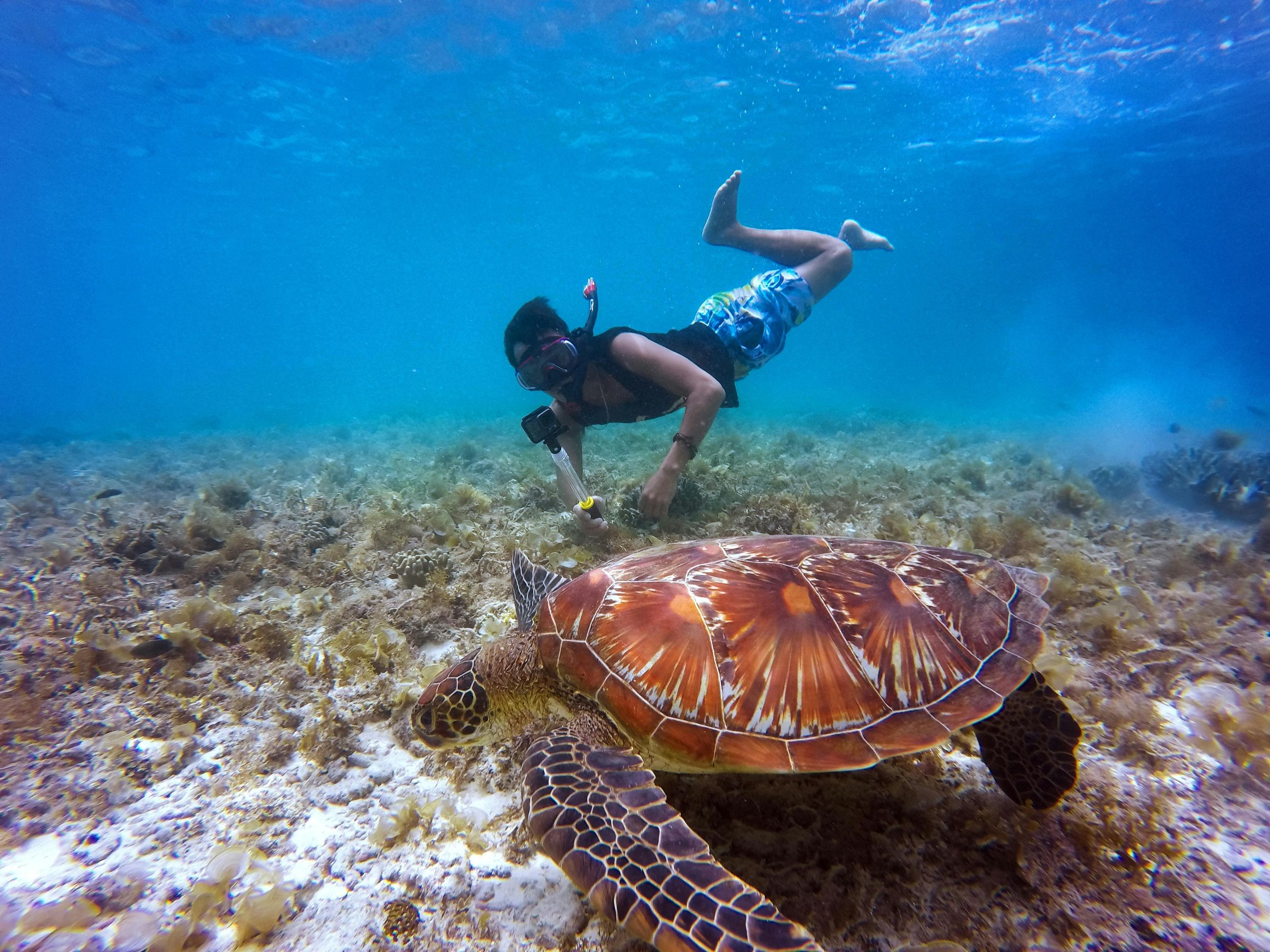 St. Lucia: Schnorcheln in Cape Vidal & Big-5-Safari in Hluhluwe