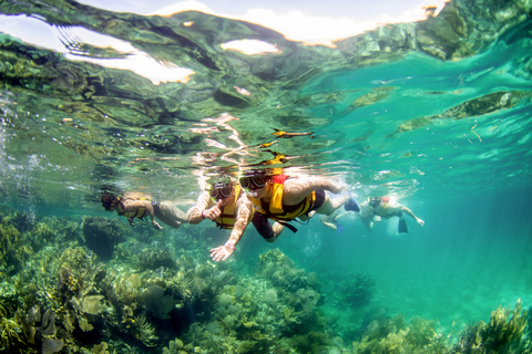 Cancún: avontuur jungle met speedboot en snorkelenCancún: jungle avontuur 09:00 uur (gedeelde speedboot)