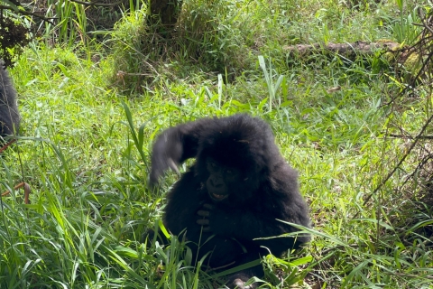 Safari de 4 días por Ruanda y senderismo con gorilas