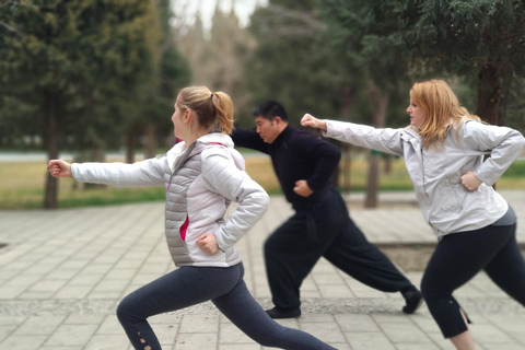 Cours expérimental de kung-fu chinois à PékinCours de Kung Fu