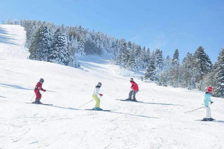 Istanbul: Uludag Ski & Snowboard Tour with Bursa Visit Private Bursa & Uludağ Tour – Vehicle & Driver Service