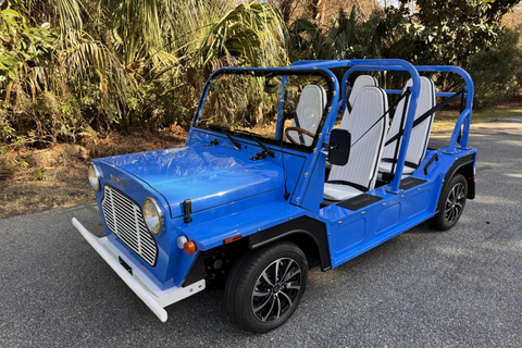 Charleston: Electric Moke Rental 1 day rental