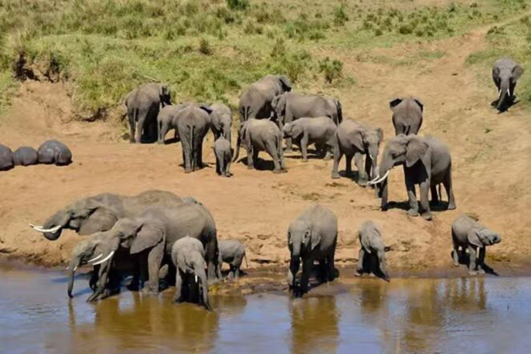 2 days 1 night saltlick safari from Diani/Mombasa.