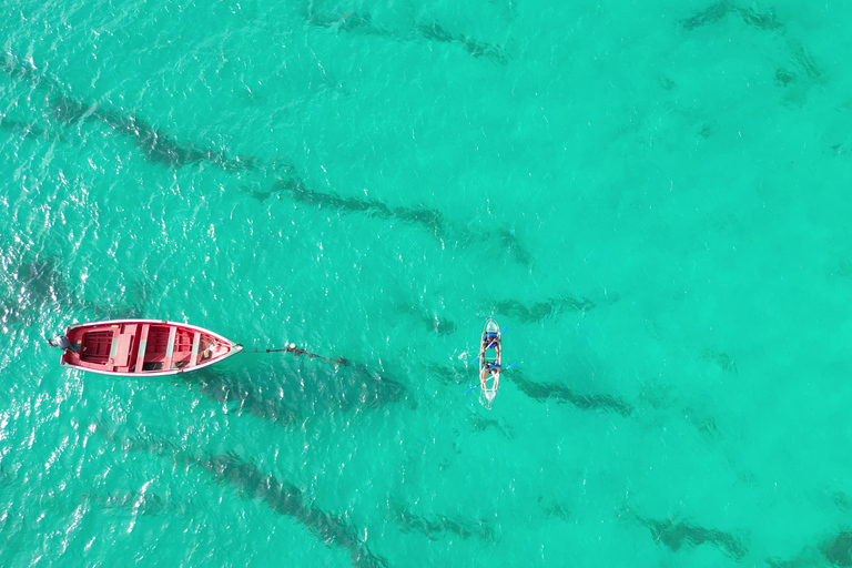 Santa Maria Clear Kayak Tour with Guide