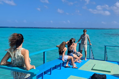 Tobago: tour in barca con fondo trasparente al Buccoo Reef Marine ParkTobago: tour in barca con fondo trasparente + Rumpunch