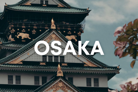 From Osaka/Kyoto/Nara: Customizable Private Tour & Car/Guide