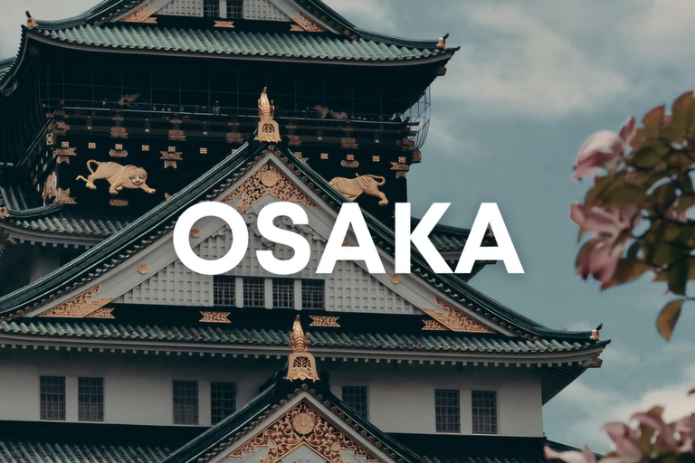 From Osaka/Kyoto/Nara: Customizable Private Tour & Car/Guide