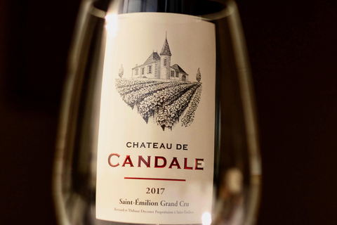 Saint-Émilion: Vineyard Tour and Wine Tasting