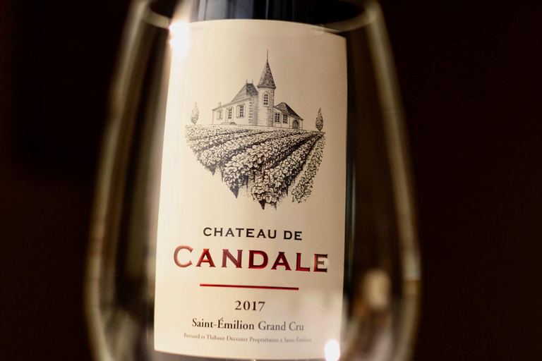 Saint-Émilion: Vineyard Tour and Wine Tasting