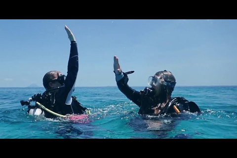 Private: Punta Cana: Reef Diving Adventure with Hotel Pickup