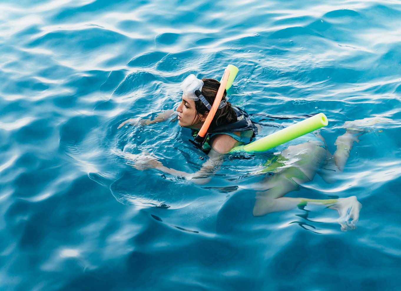 Key West: Økologisk krydstogt med delfinkiggeri og snorkling