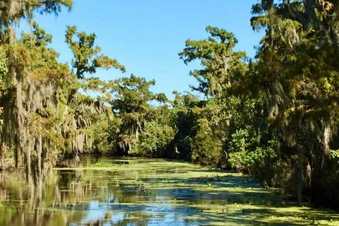 New Orleans: tour combinato Airboat Swamp &amp; City e KatrinaTour combinato piccolo idroscivolante, città e Katrina