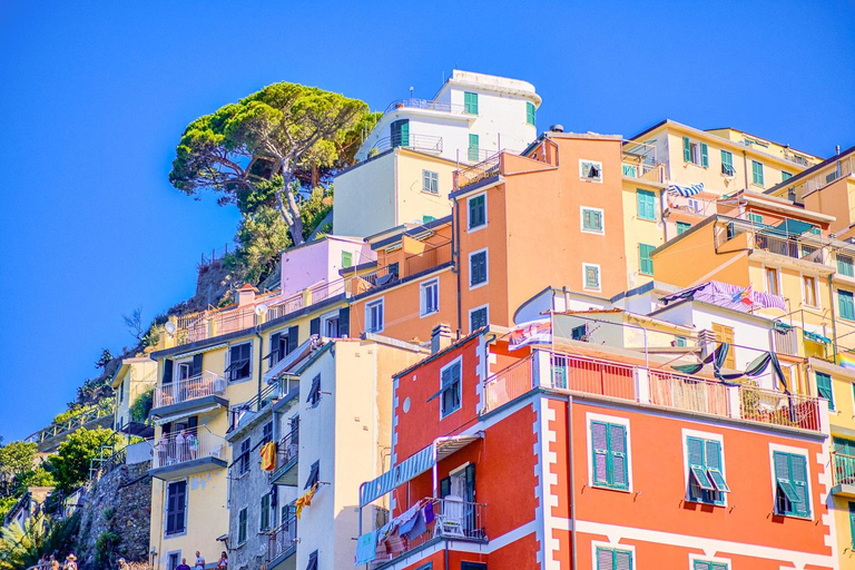 Florence : Excursion d&#039;une journée aux Cinque Terre et à Pise