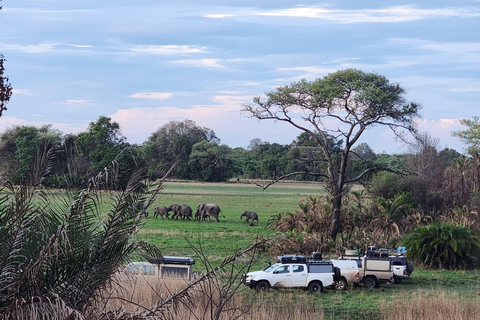 Lusaka: Lower Zambezi & Livingstone Guided Tour