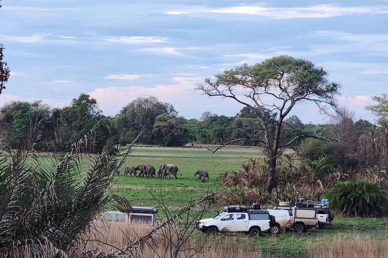 Lusaka: Lower Zambezi & Livingstone Guided Tour