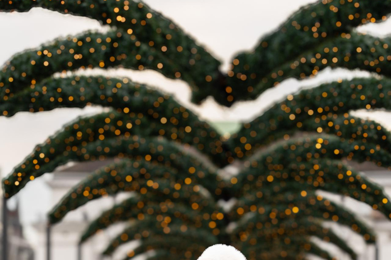 Lucerne and Christmas Market Tour with Pro Photographer