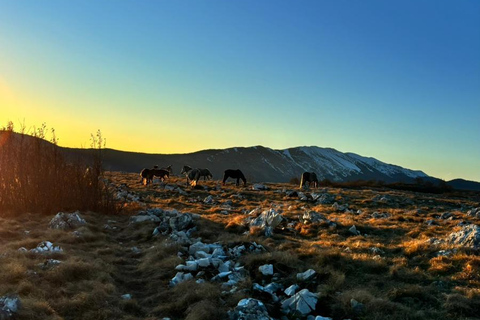Livno: Guided Wild Horses Tour with Local Aperitif