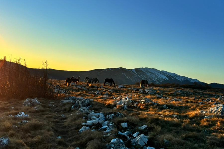 Livno: Guided Wild Horses Tour with Local Aperitif