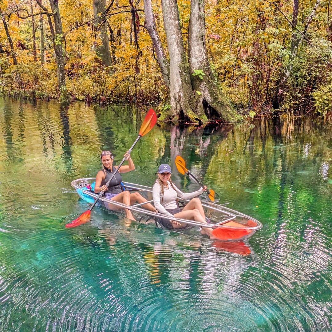 Silver Springs: Jungle Kayaking & Paddleboarding Adventure | GetYourGuide