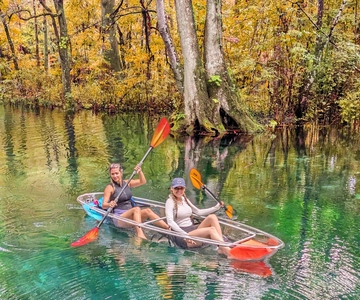 Silver Springs: Aventura de caiaque e paddleboard na selva