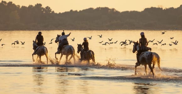 Durrës: 1-Hour Horse Ride with Photos for Experienced Riders