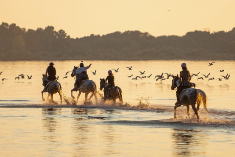 Durrës: 1-Hour Horseback Riding for Experienced Riders
